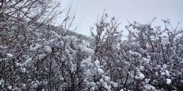 Un paseo por el nevazo en la Sierra