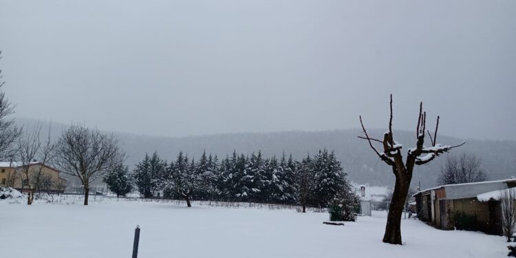Un paseo por el nevazo en la Sierra