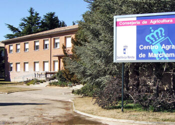 Centro agrario Marchamalo