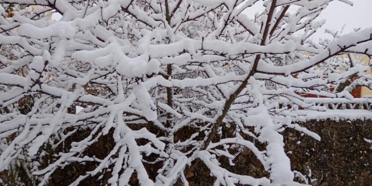 Un paseo por el nevazo en la Sierra