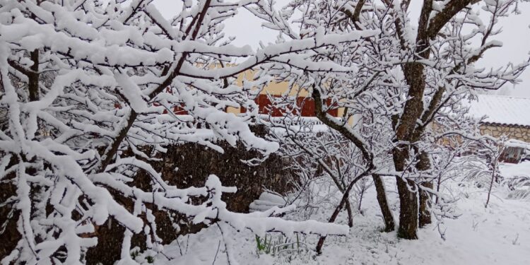 Un paseo por el nevazo en la Sierra