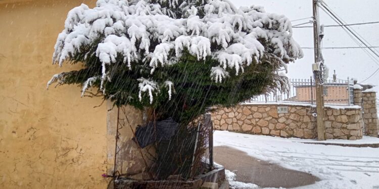 Un paseo por el nevazo en la Sierra