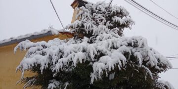 Un paseo por el nevazo en la Sierra