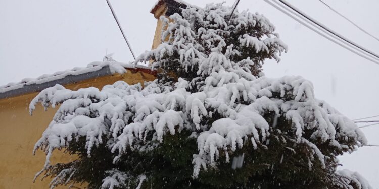 Un paseo por el nevazo en la Sierra