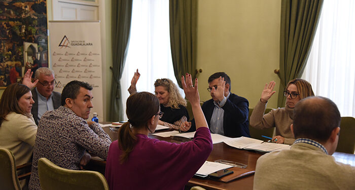 La Diputación de Guadalajara destina 100.000 euros a ayudas para apicultores de la provincia en 2024 1 La Diputación de Guadalajara destina 100.000 euros a ayudas para apicultores de la provincia en 2024