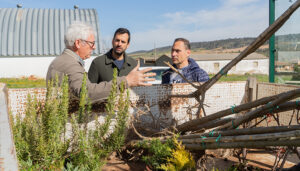 La Diputación de Guadalajara dota de 6.200 árboles y arbustos a 199 pueblos de la provincia