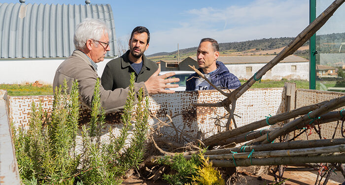 La Diputación de Guadalajara dota de 6.200 árboles y arbustos a 199 pueblos de la provincia 1 La Diputación de Guadalajara dota de 6.200 árboles y arbustos a 199 pueblos de la provincia