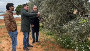La Junta abona más de 6,2 millones de euros de la PAC al sector del campo en la provincia de Cuenca