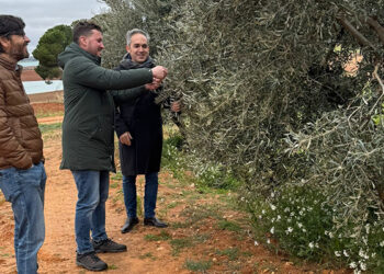 La Junta abona más de 6,2 millones de euros de la PAC al sector del campo en la provincia de Cuenca