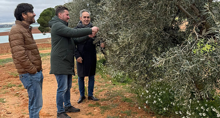 La Junta abona más de 6,2 millones de euros de la PAC al sector del campo en la provincia de Cuenca 1 La Junta abona más de 6,2 millones de euros de la PAC al sector del campo en la provincia de Cuenca