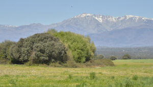 La Junta conmemora el Día Internacional de los Bosques con numerosas actividades de educación ambiental en toda la región