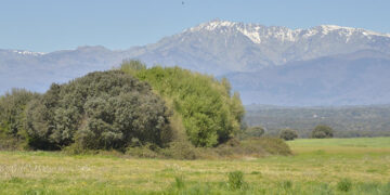 La Junta conmemora el Día Internacional de los Bosques con numerosas actividades de educación ambiental en toda la región