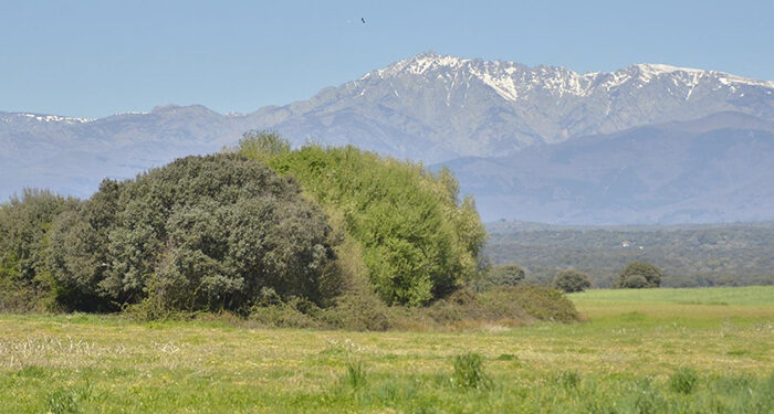 La Junta conmemora el Día Internacional de los Bosques con numerosas actividades de educación ambiental en toda la región