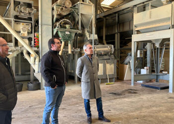 La Junta ingresa 1,5 millones de euros a 166 viticultores de la provincia de Cuenca en ayudas a la reestructuración del viñedo