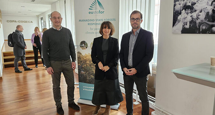 La Junta traslada las singularidades del ámbito forestal de la región a la Unión Europa durante su participación en la asamblea de Eustafor