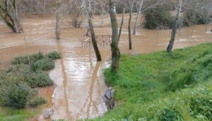 La Policía Local de Guadalajara corta los accesos peatonales al río Henares