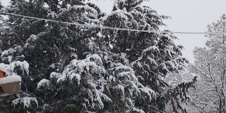 Un paseo por el nevazo en la Sierra