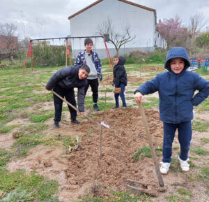 Málaga del Fresno celebra la V edición del Día del Árbol