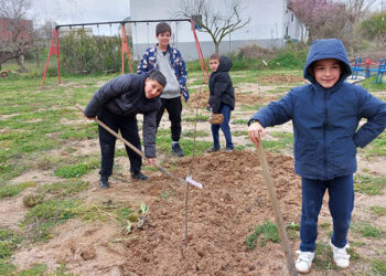 Málaga del Fresno celebra la V edición del Día del Árbol