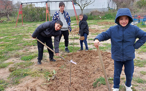 Málaga del Fresno celebra la V edición del Día del Árbol 1 Málaga del Fresno celebra la V edición del Día del Árbol