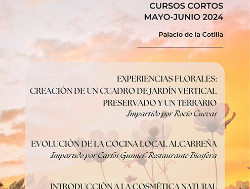 Nueva edición de los cursos cortos de las Escuelas Municipales en el Palacio de la Cotilla 1 Nueva edición de los cursos cortos de las Escuelas Municipales del Palacio de la Cotilla