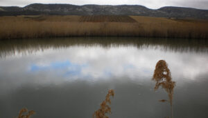Ecologistas en Acción de Cuenca siembra dudas sobre un PSI de los Palancares que pone en riesgo la microrreserva “Complejo Lagunar Valle del río Moscas”