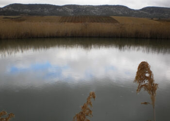 Ecologistas en Acción de Cuenca siembra dudas sobre un PSI de los Palancares que pone en riesgo la microrreserva “Complejo Lagunar Valle del río Moscas”