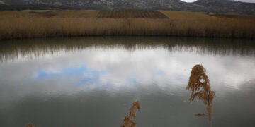 Ecologistas en Acción de Cuenca siembra dudas sobre un PSI de los Palancares que pone en riesgo la microrreserva “Complejo Lagunar Valle del río Moscas”