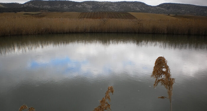 Ecologistas en Acción de Cuenca siembra dudas sobre un PSI de los Palancares que pone en riesgo la microrreserva “Complejo Lagunar Valle del río Moscas” 1 Ecologistas en Acción de Cuenca siembra dudas sobre un PSI de los Palancares que pone en riesgo la microrreserva “Complejo Lagunar Valle del río Moscas”