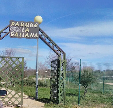 Un informe técnico da la razón al PP de Pioz y alerta del riesgo de mantener abierto el parque de La Galiana, ante la “dejadez e incompetencia” del gobierno 1 Un informe técnico da la razón al PP de Pioz y alerta del riesgo de mantener abierto el parque de La Galiana, ante la “dejadez e incompetencia” del gobierno