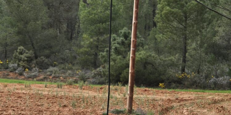 Roban parte del cableado de fibra óptica en el acceso a Jábaga 1 20240406 192002