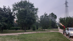 Azuqueca planta cara a los mosquitos