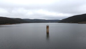 Beleña almacena más de 47 Hm3 situándose al 89,45% de su capacidad total