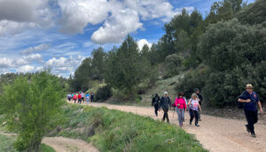 Casi un centenar de participantes se dan cita en el primer Circuito de Senderismo Diputación de Cuenca que recorrió el sendero del Manco de La Pesquera