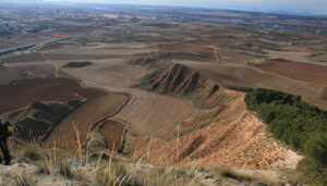 Castilla-La Mancha estudia la ampliación de las ZEPAs de aves esteparias y la creación de nuevas zonas protegidas