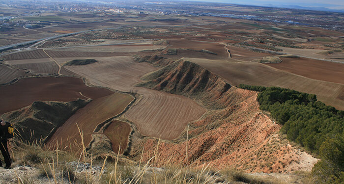 Castilla-La Mancha estudia la ampliación de las ZEPAs de aves esteparias y la creación de nuevas zonas protegidas