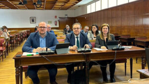 Castillo defiende en el Senado un paquete de medidas para impulsar el empleo juvenil