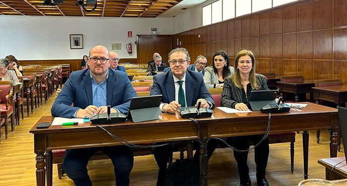 Castillo defiende en el Senado un paquete de medidas para impulsar el empleo juvenil 1 Castillo defiende en el Senado un paquete de medidas para impulsar el empleo juvenil