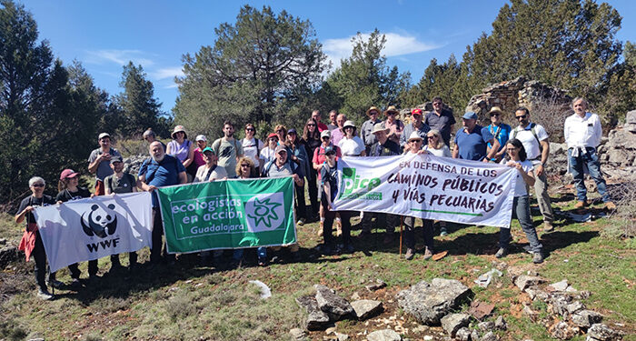 Ecologistas en Acción de Guadalajara afirma que la modificación de la Ley de Caza y el despliegue de las plantas fotovoltaicas amenazan las vías pecuarias y los caminos públicos 1 Ecologistas en Acción de Guadalajara afirma que la modificación de la Ley de Caza y el despliegue de las plantas fotovoltaicas amenazan las vías pecuarias y los caminos públicos