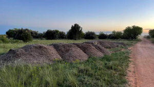 Ecologistas en Acción denuncia vertidos con material prohibido para abonar en parcelas de Casas de Haro
