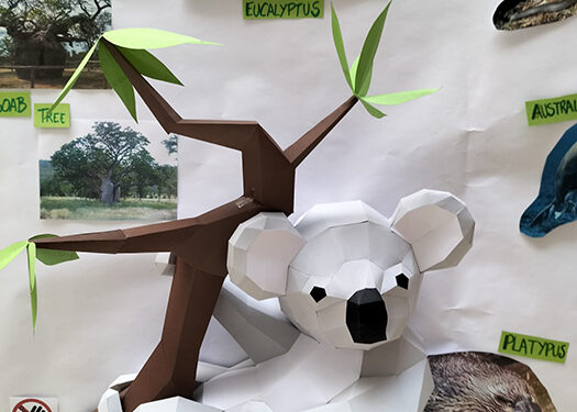 El CEIP Fuente del Oro de Cuenca “viaja” a las antípodas 1 El CEIP Fuente del Oro de Cuenca “viaja” a las antípodas