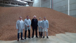 El Gobierno regional amplía las medidas fitosanitarias para el almendro afectado por la avispilla hasta abril de 2026