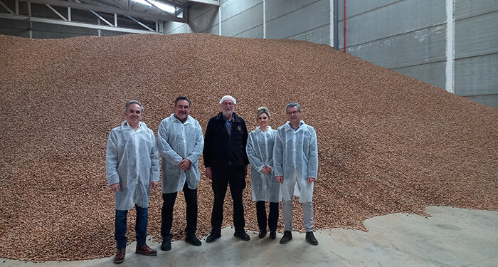 El Gobierno regional amplía las medidas fitosanitarias para el almendro afectado por la avispilla hasta abril de 2026