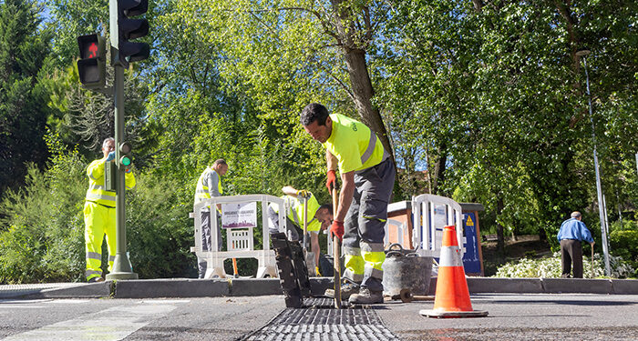 Una sentencia reconoce el plus de fin de semana para la plantilla de limpieza y mantenimiento de las zonas verdes de Guadalajara 1 El plan integral de limpieza llega al Alamín, Los Valles, Usanos y Valdenoches