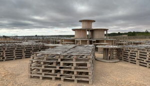Endesa lanza el primer estudio de biodiversidad en la planta solar de Minglanilla