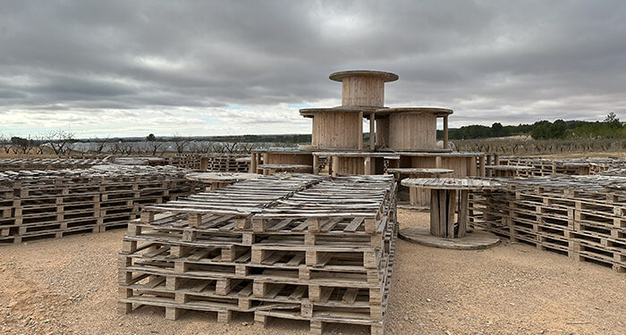 Endesa lanza el primer estudio de biodiversidad en la planta solar de Minglanilla 1 Endesa lanza el primer estudio de biodiversidad en la planta solar de Minglanilla