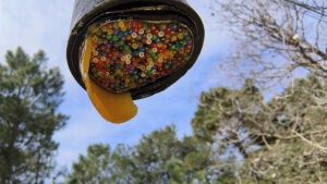 IMG 20240408 133432 pequena