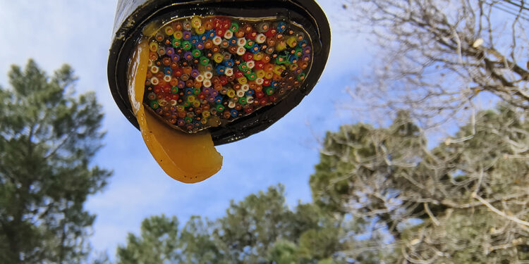 Encuentran el lugar en el que quemaron la envoltura del cobre robado en Jábaga