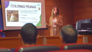 La Diputación de Cuenca y GEACAM trabajarán para concienciar sobre el control de las colonias felinas