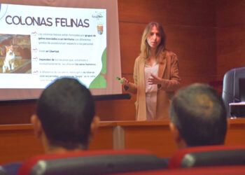 La Diputación de Cuenca y GEACAM trabajarán para concienciar sobre el control de las colonias felinas